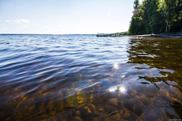 Селигер прозрачное озеро