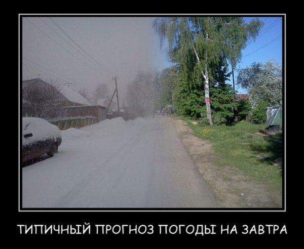 Прогноз погоды прикол