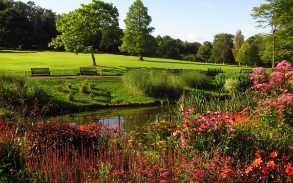 Hampstead Heath