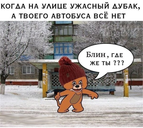 Открытки дубак на улице