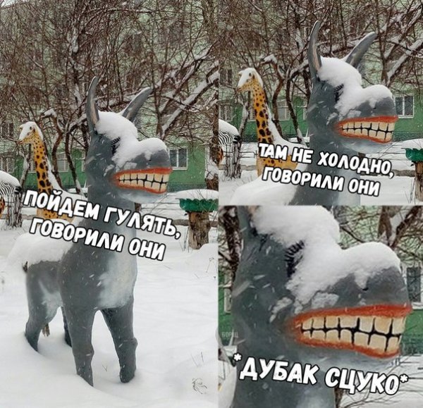 Дубак холодно