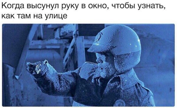 Дубак прикол