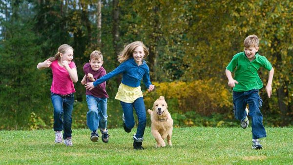 Парта для детей