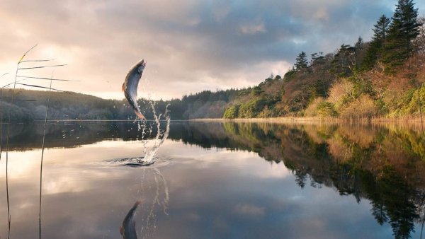 Природа рыбалка