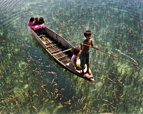 Человек в лодке вид сверху