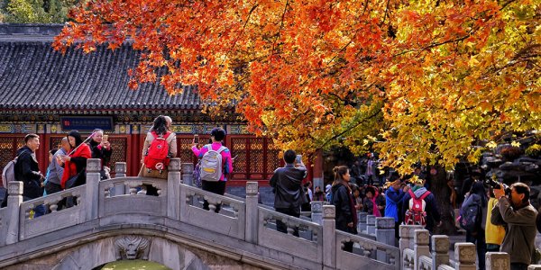 Парк Сяншань в Пекине осенью