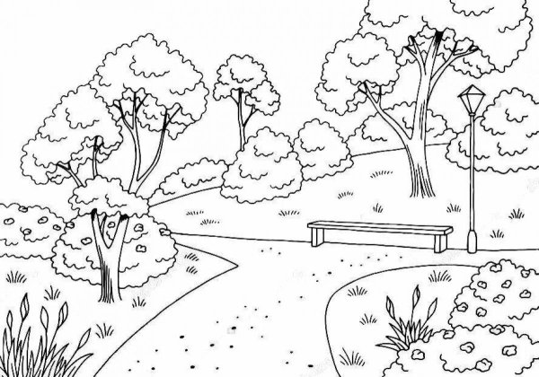 Раскраска парк