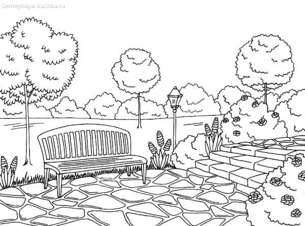 Раскраска парка