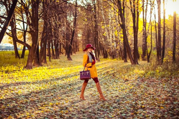 Осень прогулка