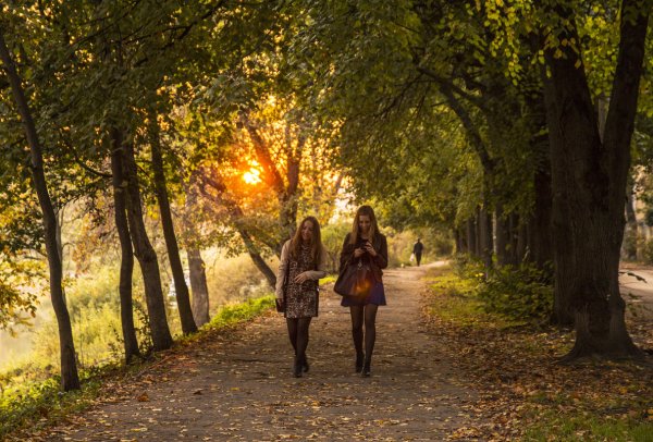 Вечерняя прогулка в парке