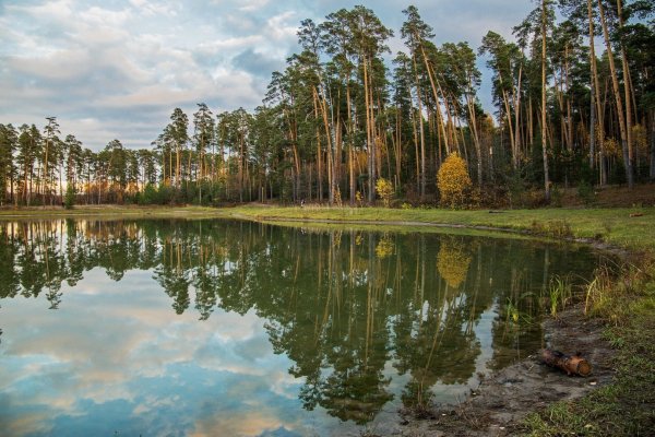 Лебяжье озеро Казань