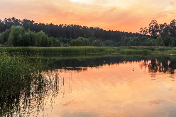 Кара-Куль (озеро, Татарстан)