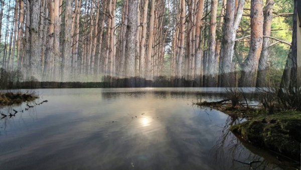 Озеро Лесное Казань Авиастроительный район