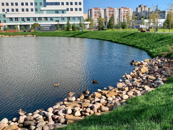 Чайковые озера Казань