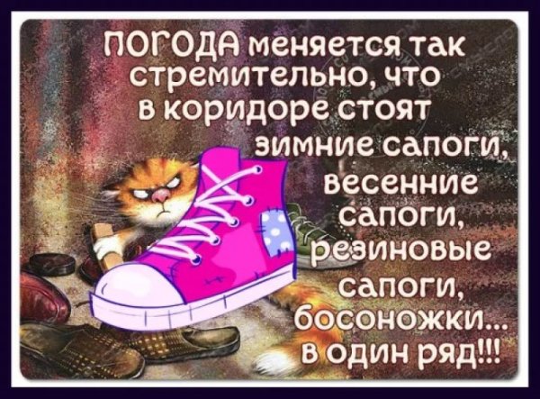 Смешные цитаты про погоду
