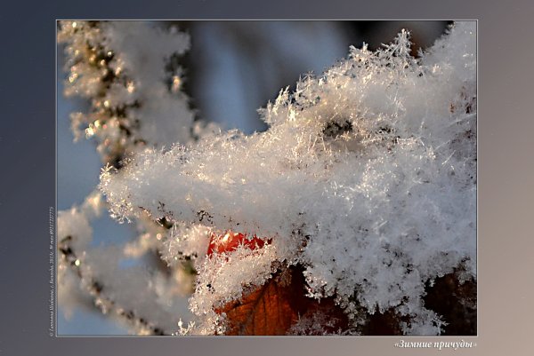 Зимние причуды природы