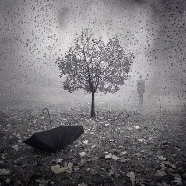 Дождь грусть