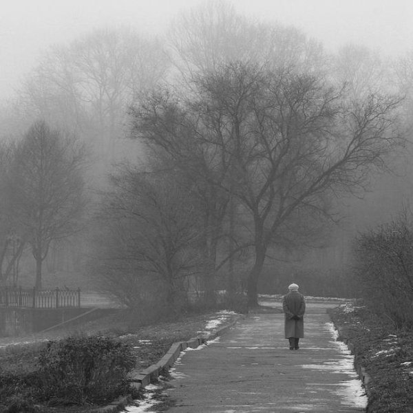 Серая осень