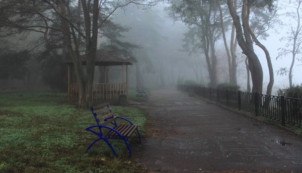 Грустный двор осенью