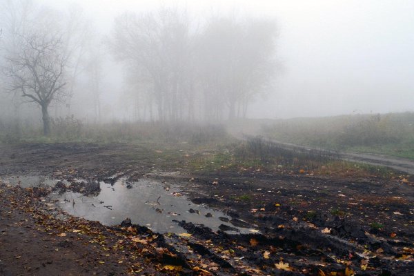 Осень слякоть