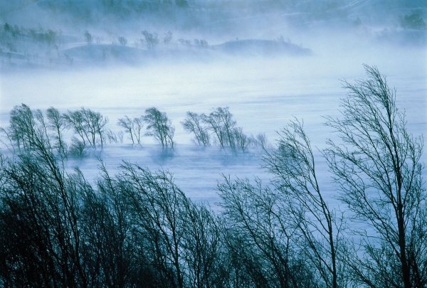 Сильная метель