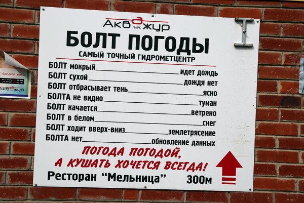 Болт показывает погоду