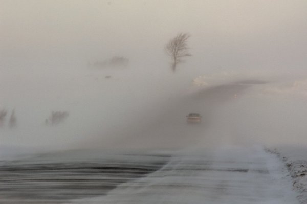 Снежный Буран в степи