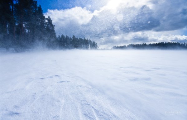 Снежная метель