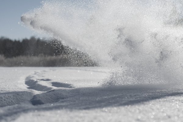 Снежная буря