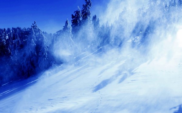 Снежная буря