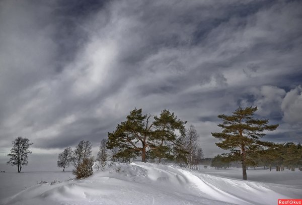 Буран зимний