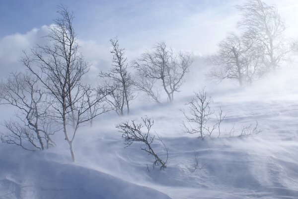 Снежная буря