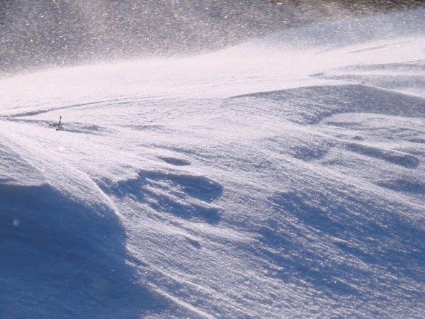 Буран природное явление