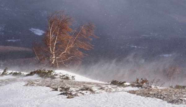 Зимняя буря