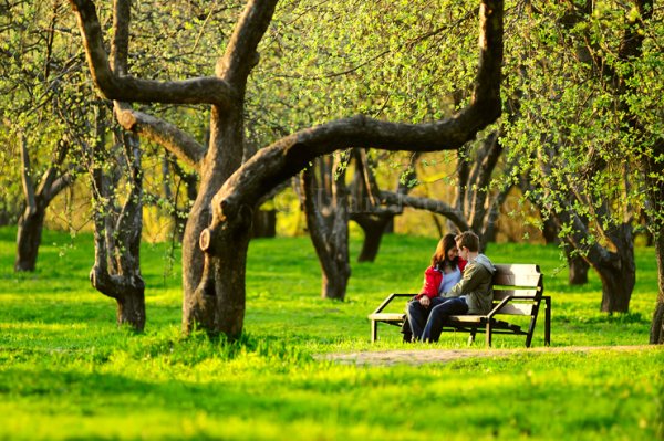Место для свиданий в парке