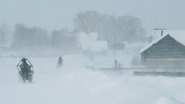Снежная Пурга в деревне