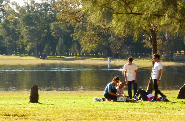 Отдыхаем в парке