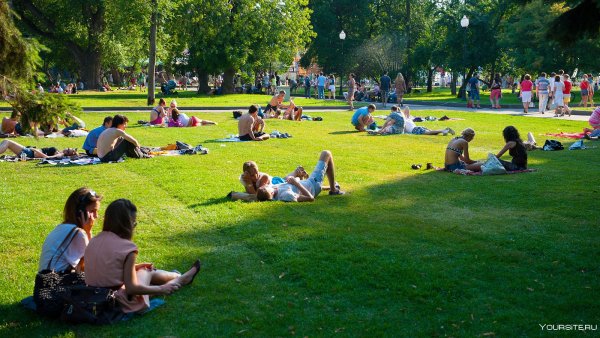 Парк Горького пикниковая зона