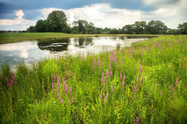 Пойменные Луга Белгородской области