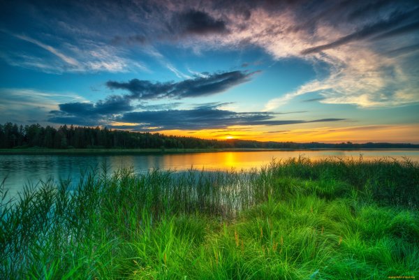 Природа закат