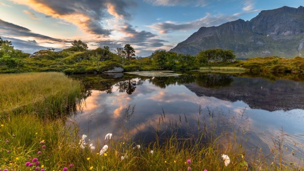 Красивый пейзаж