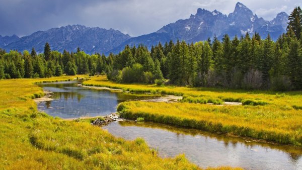 Леса поля и реки горы России