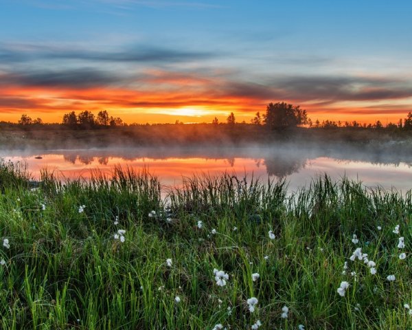Весенний рассвет