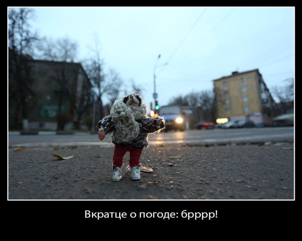 Приколы про холодную погоду