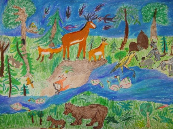 Заповедник рисунок