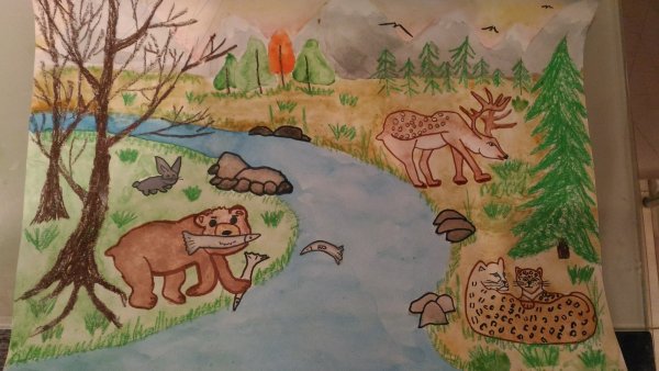 Заповедник рисунок