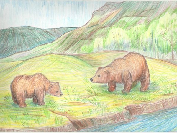 Заповедник рисунок