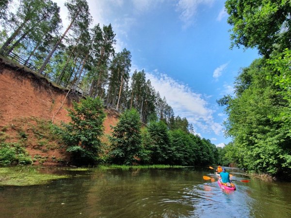 Река Боровка Бузулукский Бор
