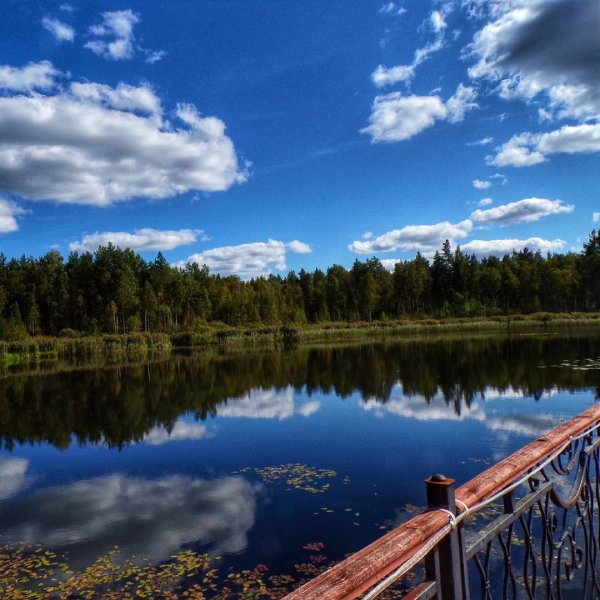 Национальный парк Орловское Полесье Орловская область