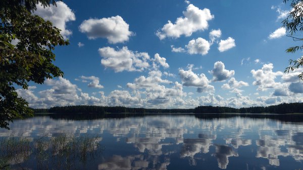 Озеро зеркальное Шипуновский район